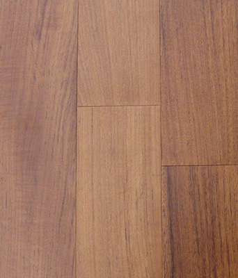 Burma Teak 02