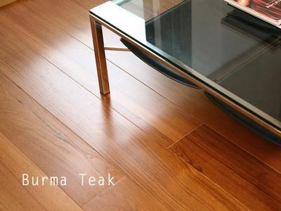 Burma Teak 01