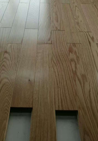 Red Oak 03